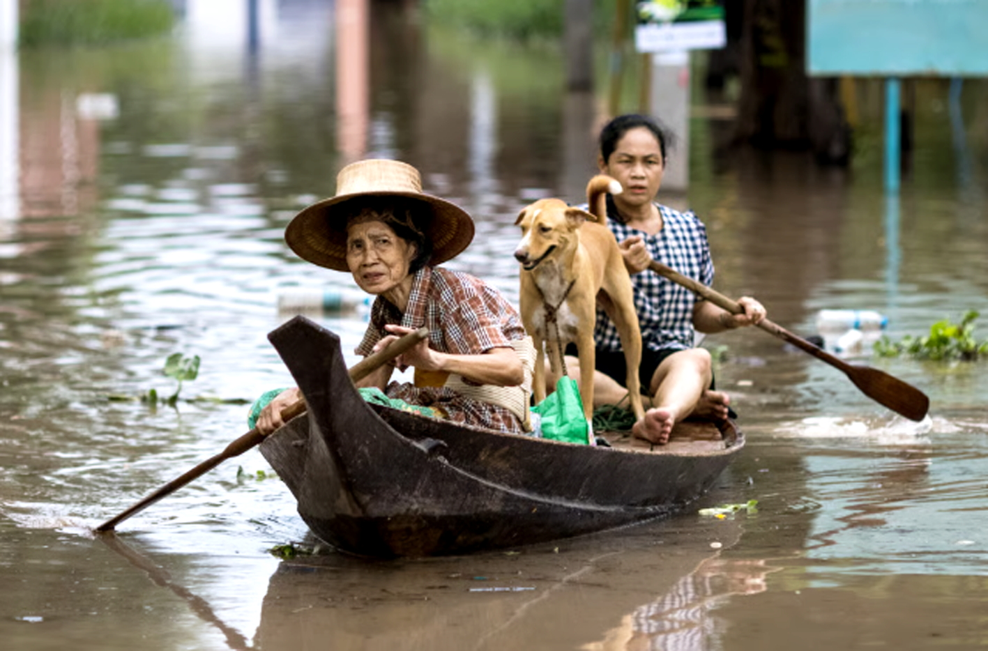 Đông Nam Á đang trải qua mùa mưa bão, lũ lụt liên tiếp  khiến thiệt hại hàng tỉ USD - Nguồn ảnh: France 24
