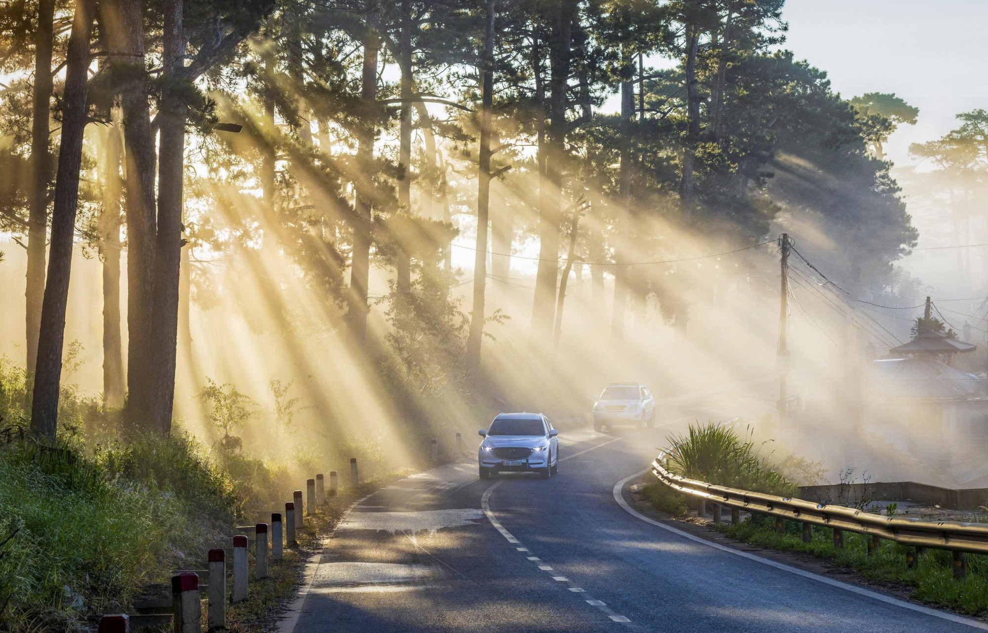  bình minh trên đồi