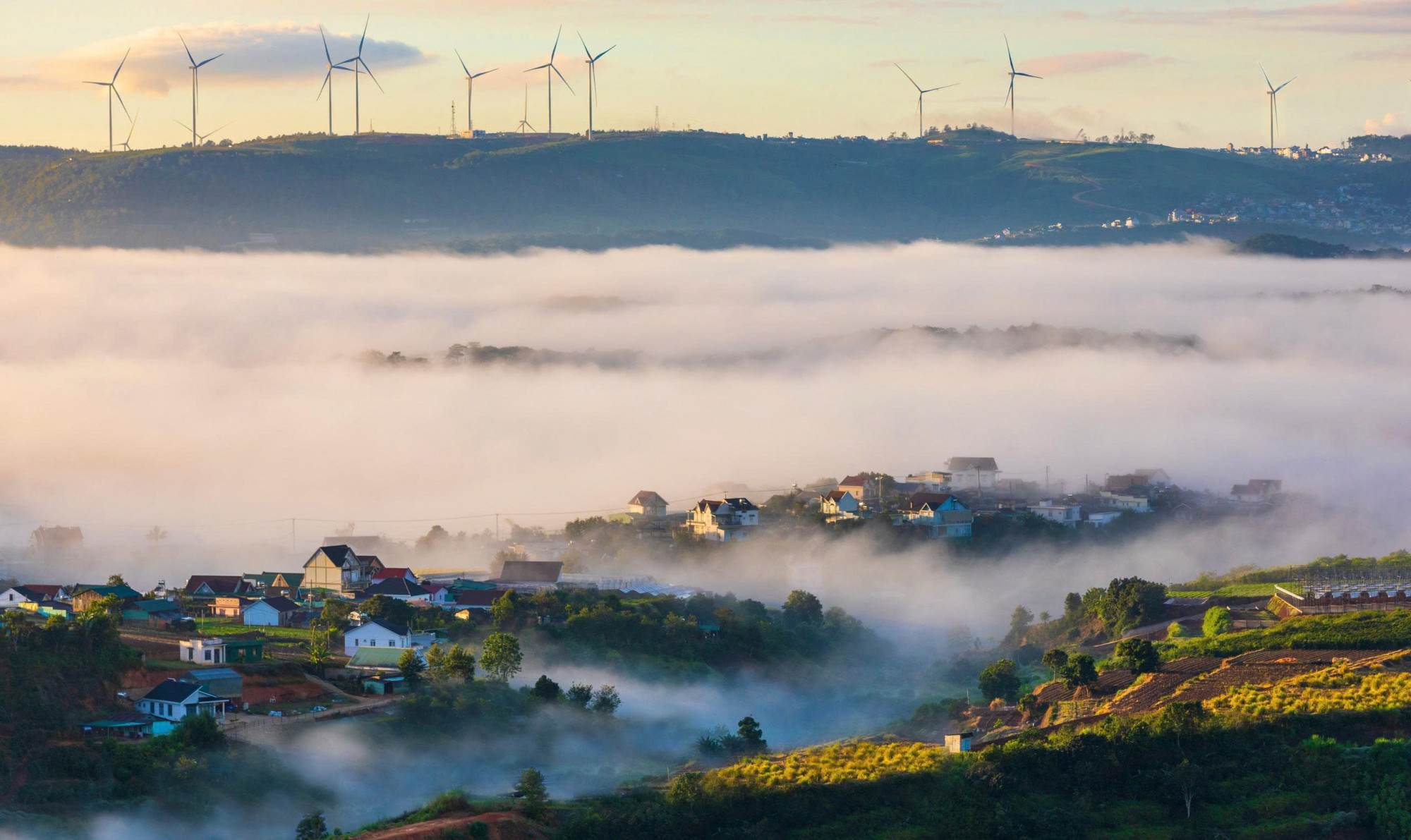 Cầu Đất săn mây