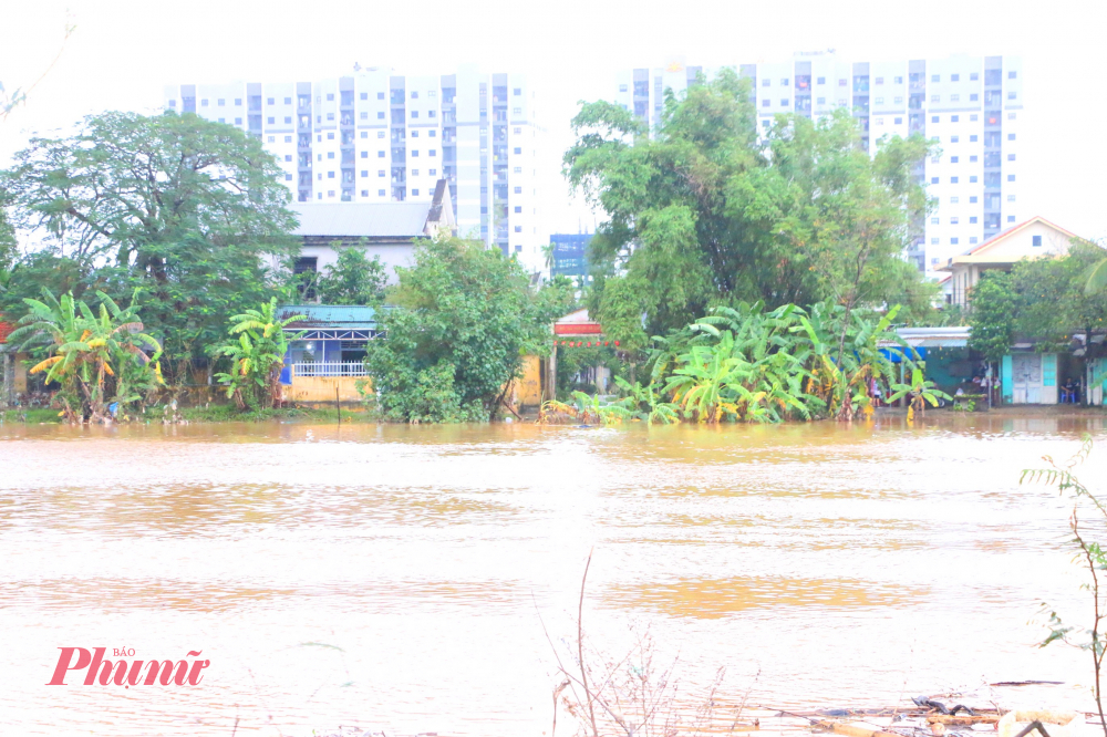 Theo ghi nhận của phóng viên Báo Phụ nữ TPHCM nước lũ trên sông Như Ý đã tràn vào khu vực thấp trũng
