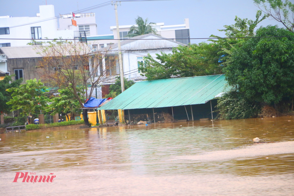 Trong sáng nay Sở GD-ĐT  TP Huế đã chủ động thông báo cho học sinh vùng thấp trũng nghỉ học để tránh lũ