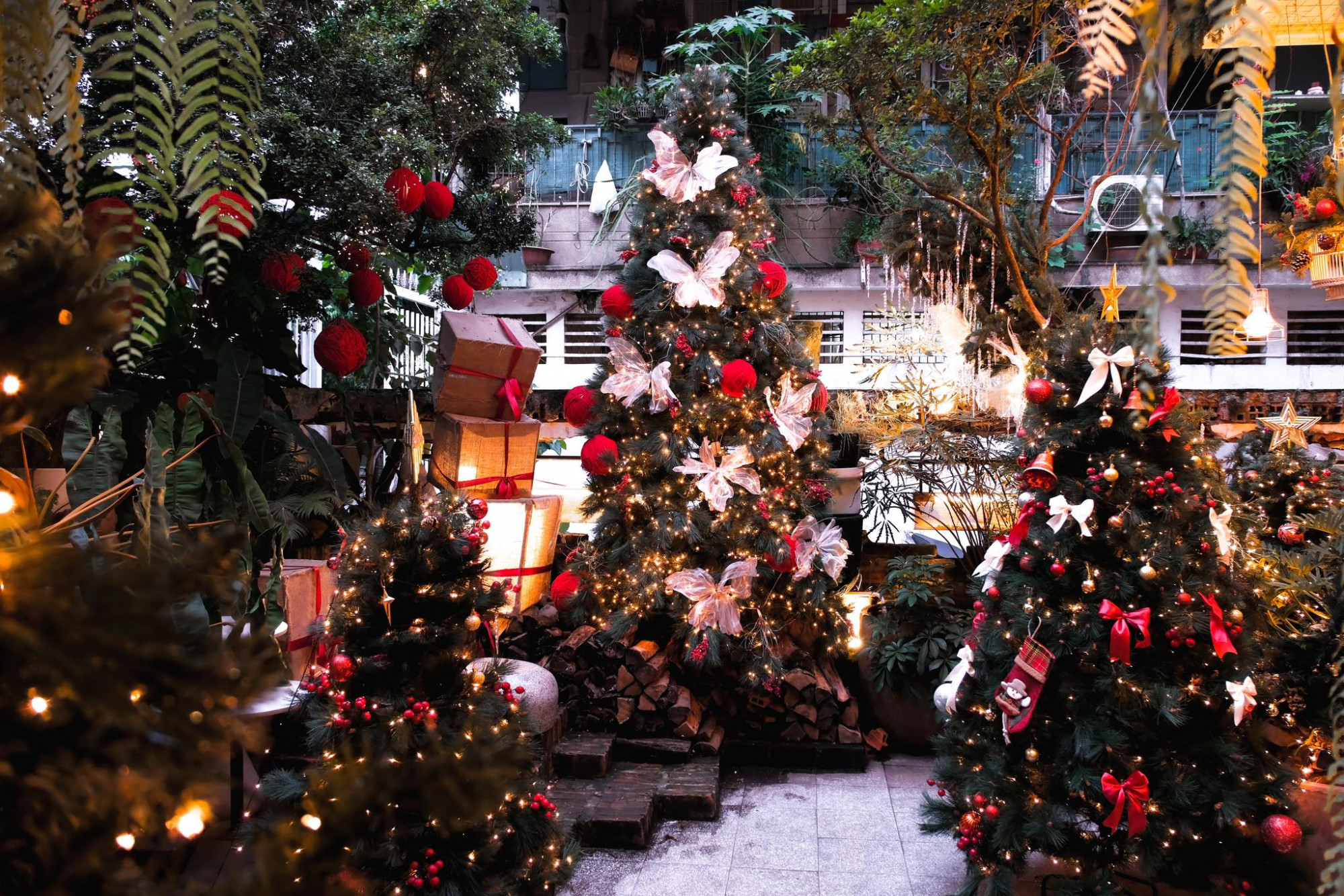 Oromia Coffee & Lounge. 193A/D3 Nam Kỳ Khởi Nghĩa, phường Bàn Cờ. 