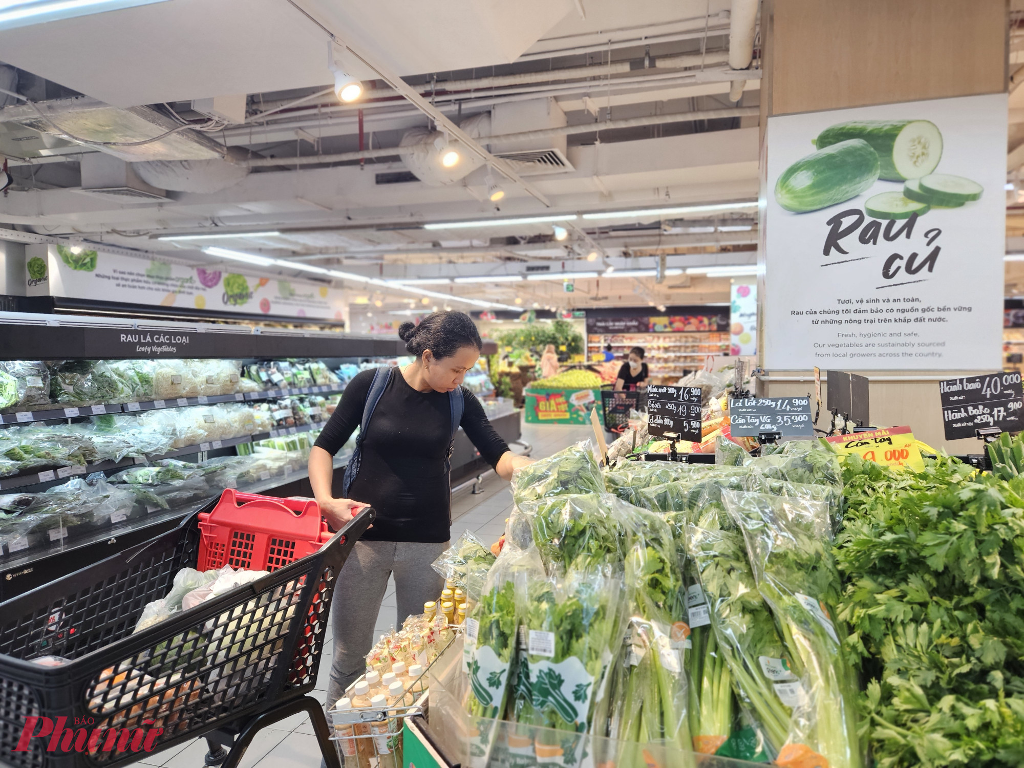 Tại nhiều siêu thị, giá rau xanh có phần ổn định hơn nhờ liên kết với nhà cung cấp và nơi sản xuất