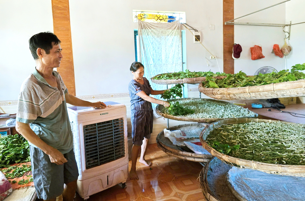 Phòng nuôi tằm được bà Nguyễn Thị Hợi lắp đặt điều hòa, quạt nước để đảm bảo nhiệt độ