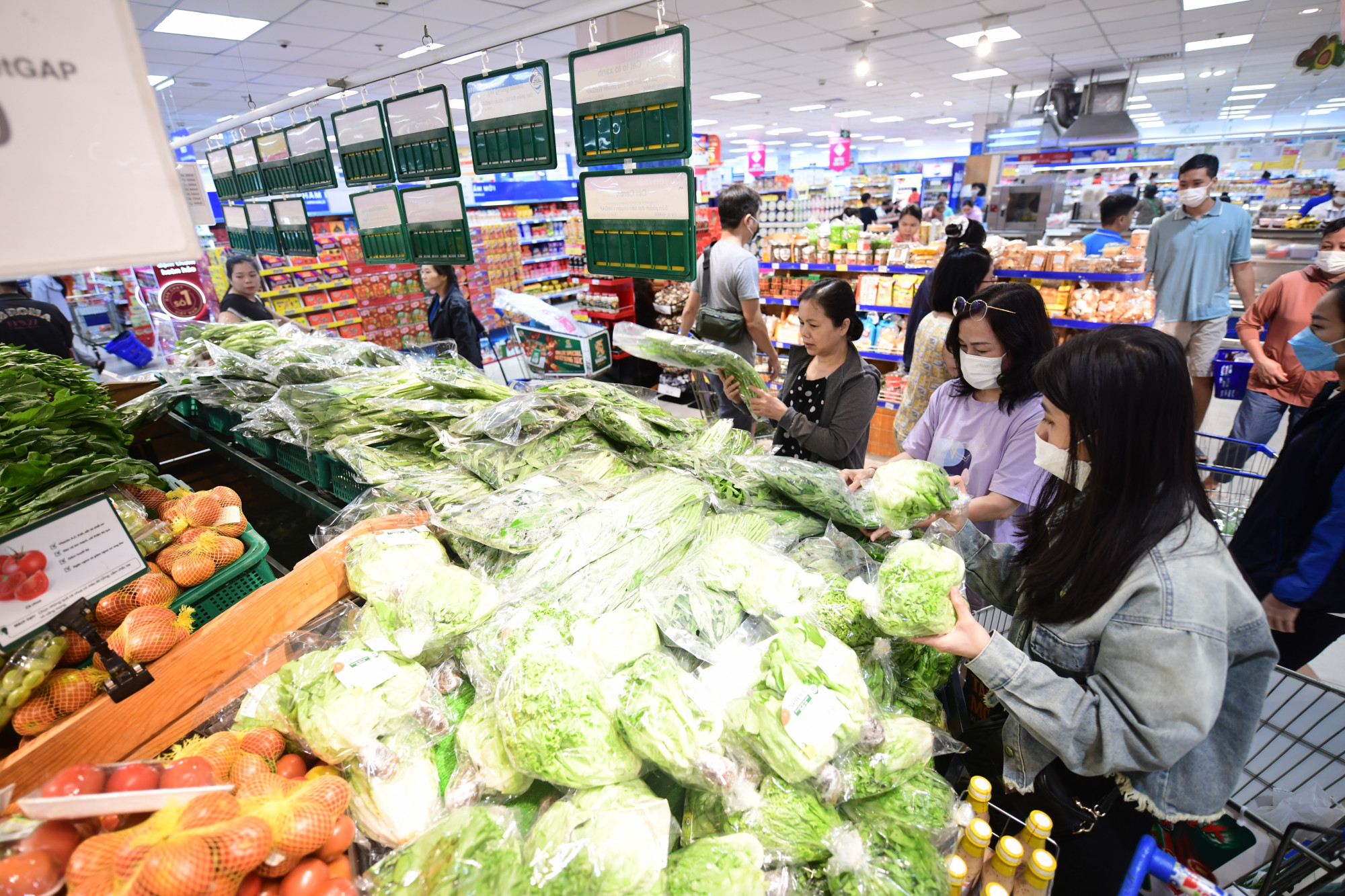 Người dân mua rau củ VietGAP_GlobalGAP_Tick xanh trách nhiệm giảm 10–20_ trong Lễ hội Rau củ, giúp cân bằng chi phí khi thị trường bên ngoài tăng giá 15–50_.