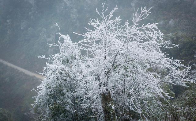 Ảnh: Anh Đức Nguyễn