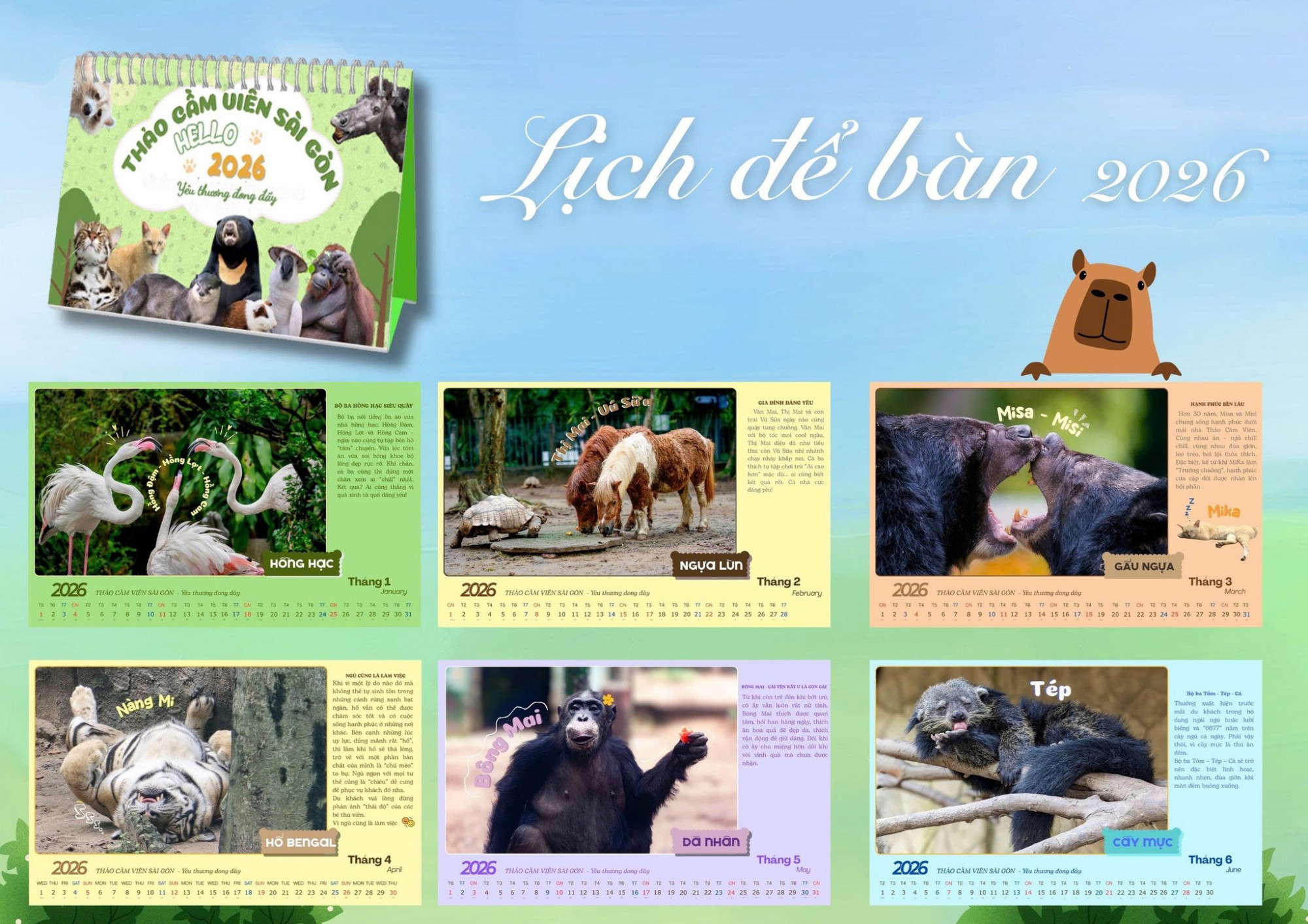 Hình ảnh các loài trong bộ lịch