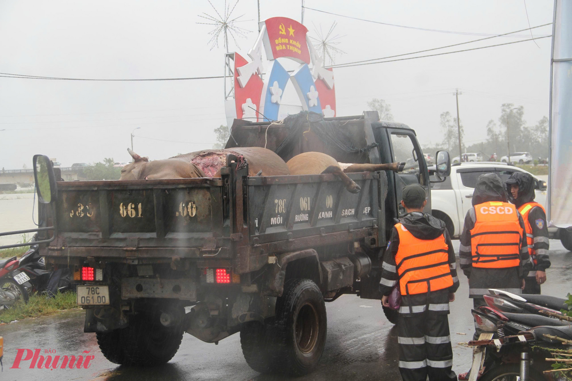 Nhiều vật nuôi – tài sản lớn của nhiều hộ gia đình cũng bị cuốn trôi hoặc chết sau đợt lũ. Hiện, đã được lực lượng chức năng thu gom, mang đi xử lý để đảm bảo vệ sinh môi trường.