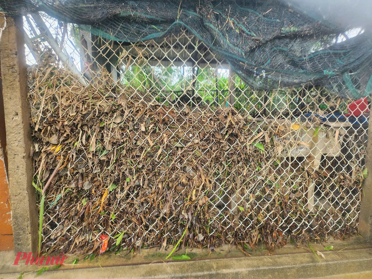 Hàng rào của nhiều căn nhà vẫn dính đầy rác, đồ đạc trong nhà ướt sũng, dính bùn đất, mọi sinh hoạt bị đảo lộn