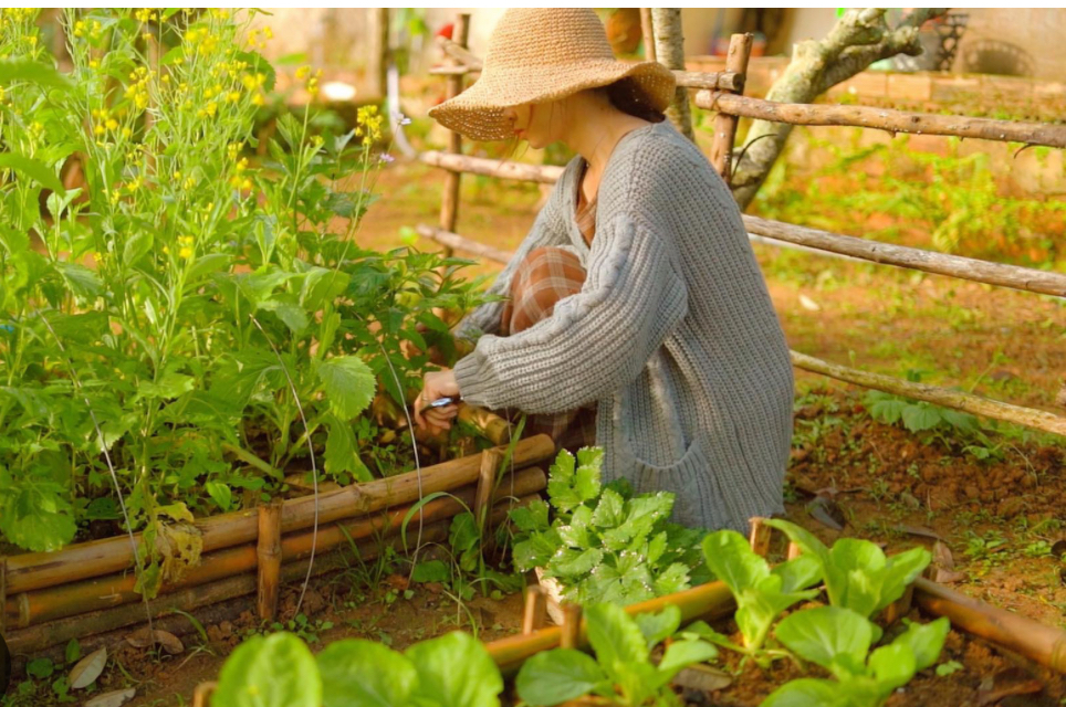 Cuộc đua mua nhà vô cùng khắc nghiệt với người trẻ. Ảnh minh họa
