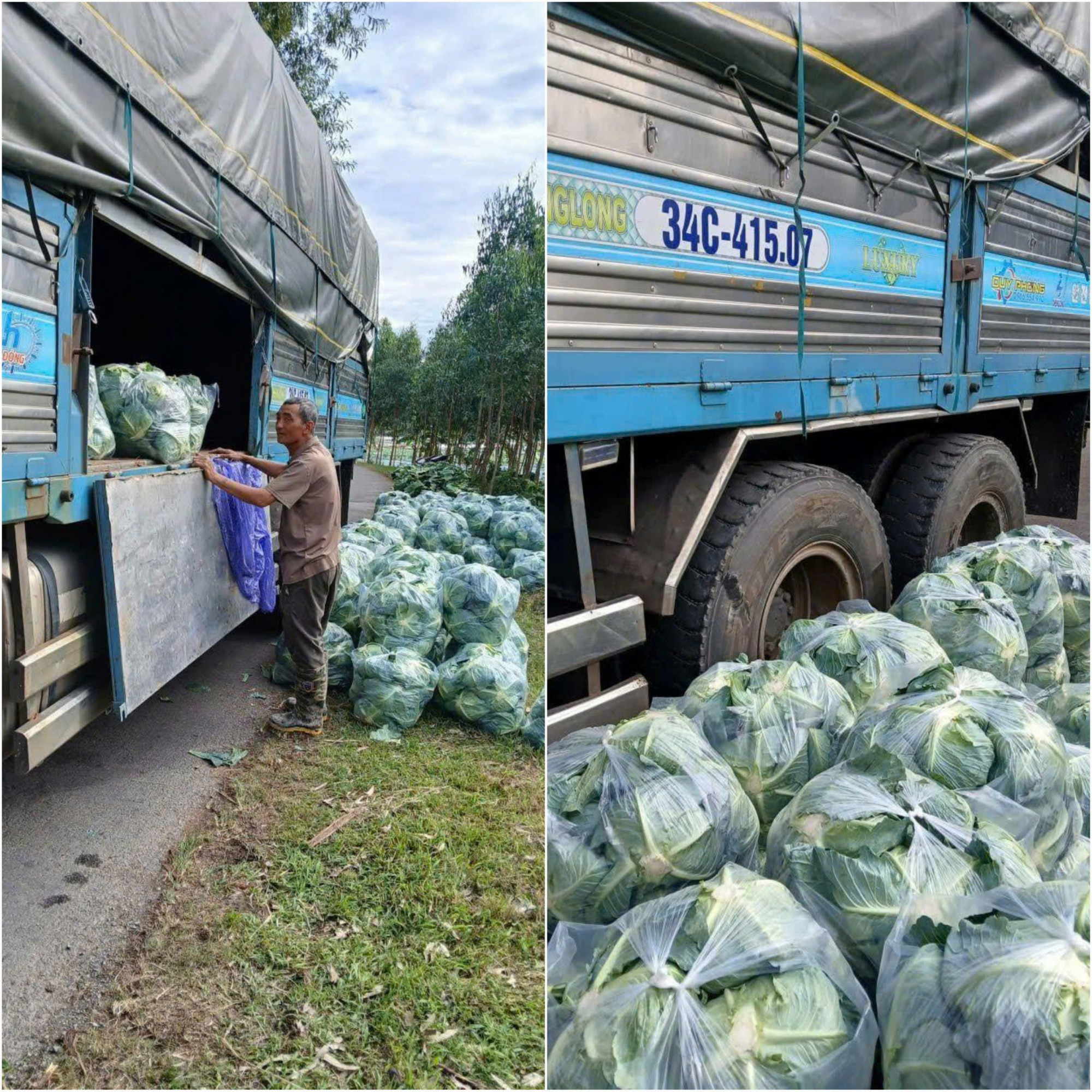 Xe tải chuyển rau từ Bắc vào miền Trung - Ảnh: Thanh Tân