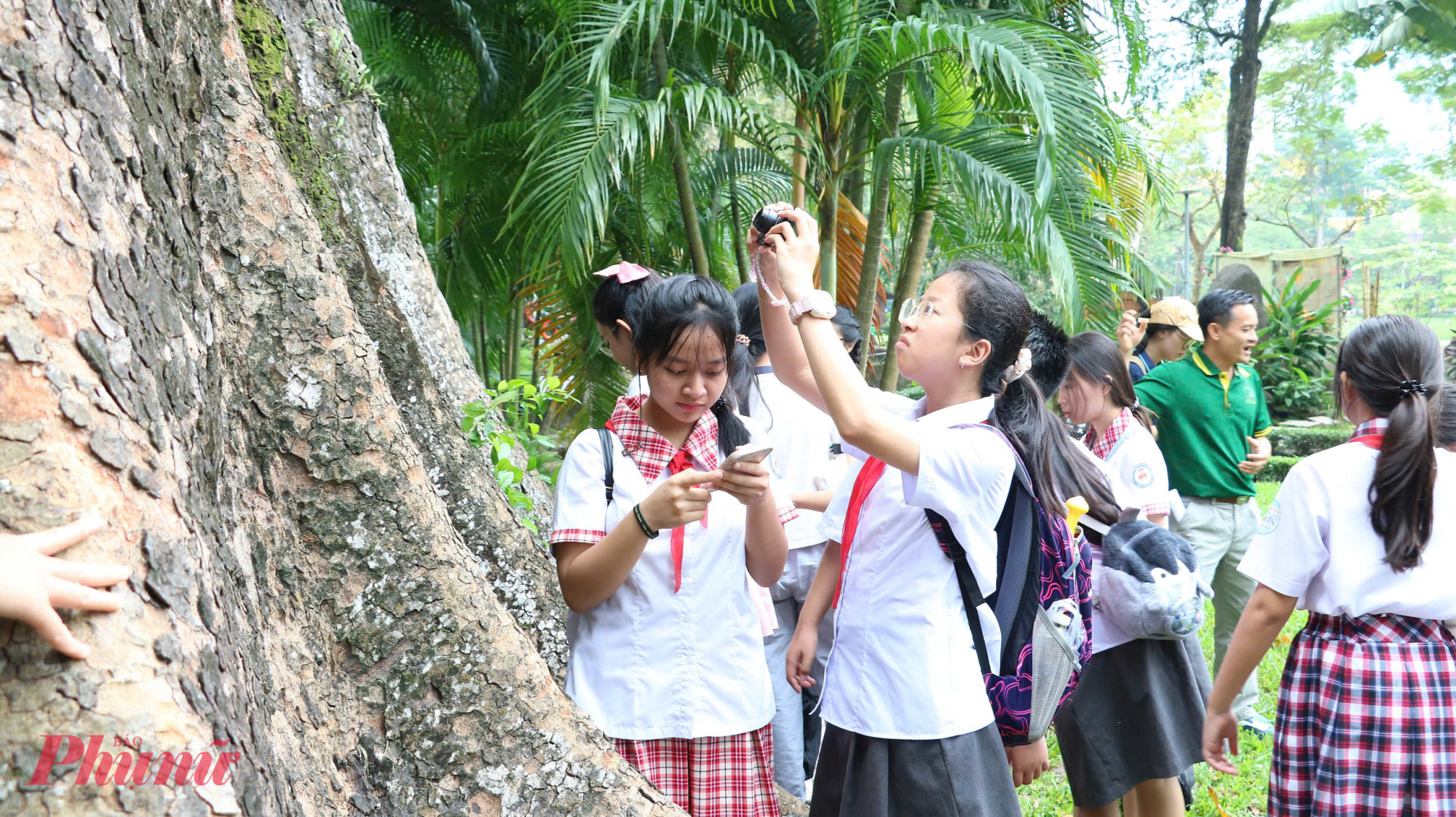 Lưu lại những hình ảnh đẹp về các loài cây - Ảnh: Trang Thư