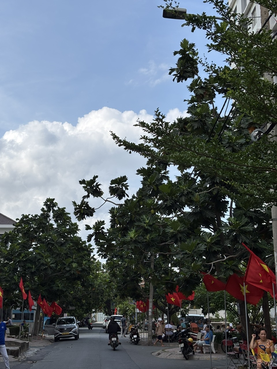 Chung cư khu nhà tác giả ngập cây xanh. Ảnh nhân vật cung cấp