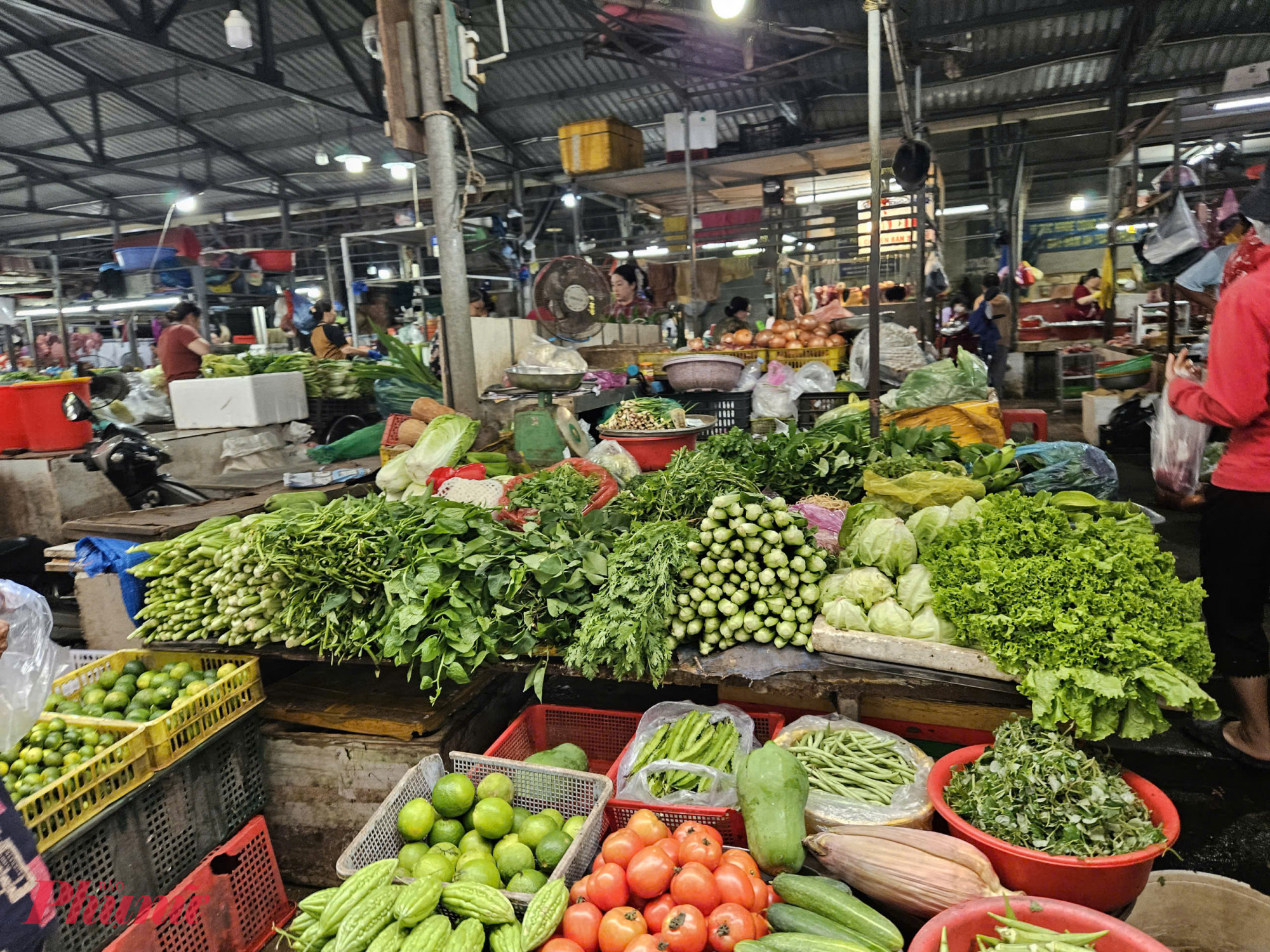 Đầu tuần này giá rau xanh tại chợ lẻ bắt đầu giảm mạnh 