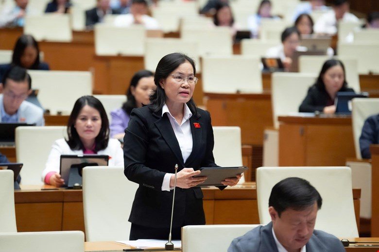 Đại biểu Quốc hội Nguyễn Thị Hồng Hạnh - ảnh: QH