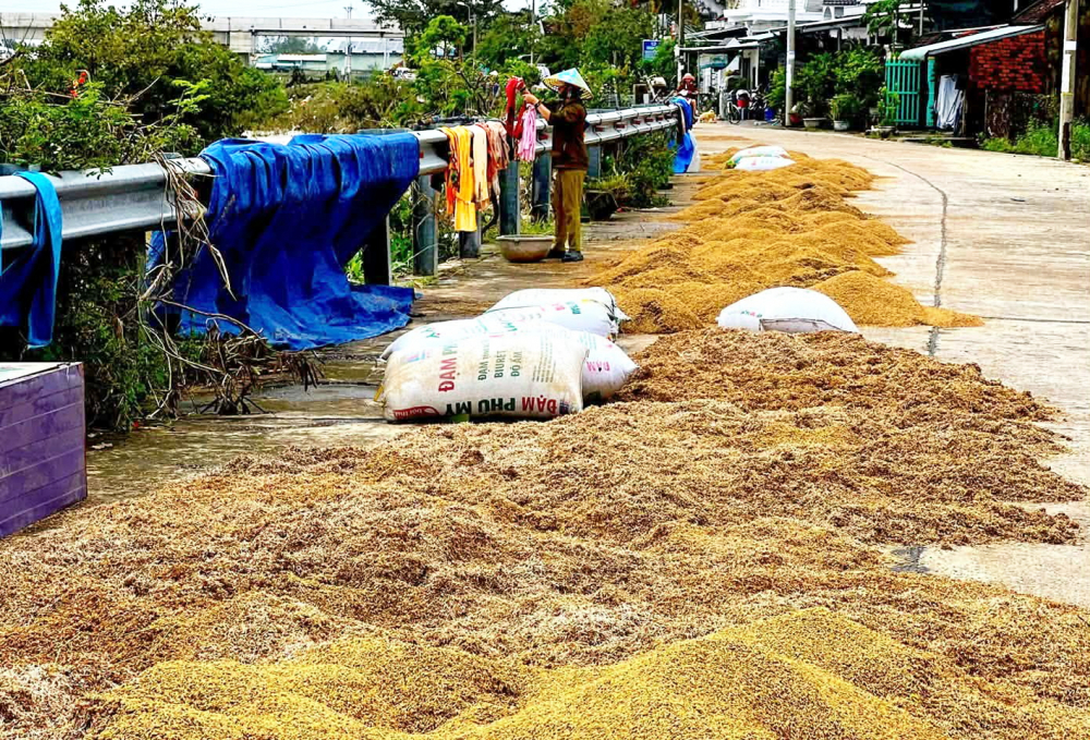 Bà con vùng lũ nhặt nhạnh quần áo, nông sản từ biển nước để phơi, mong vớt vát được đôi chút - Nguồn ảnh: Mạng xã hội