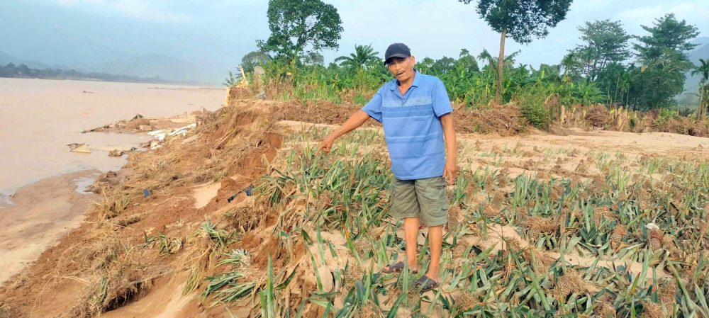 Nông dân xã Đại Lộc, TP Đà Nẵng bị thiệt hại nặng nề do các đợt mưa lũ liên tiếp - ẢNH: LÊ ĐÌNH DŨNG