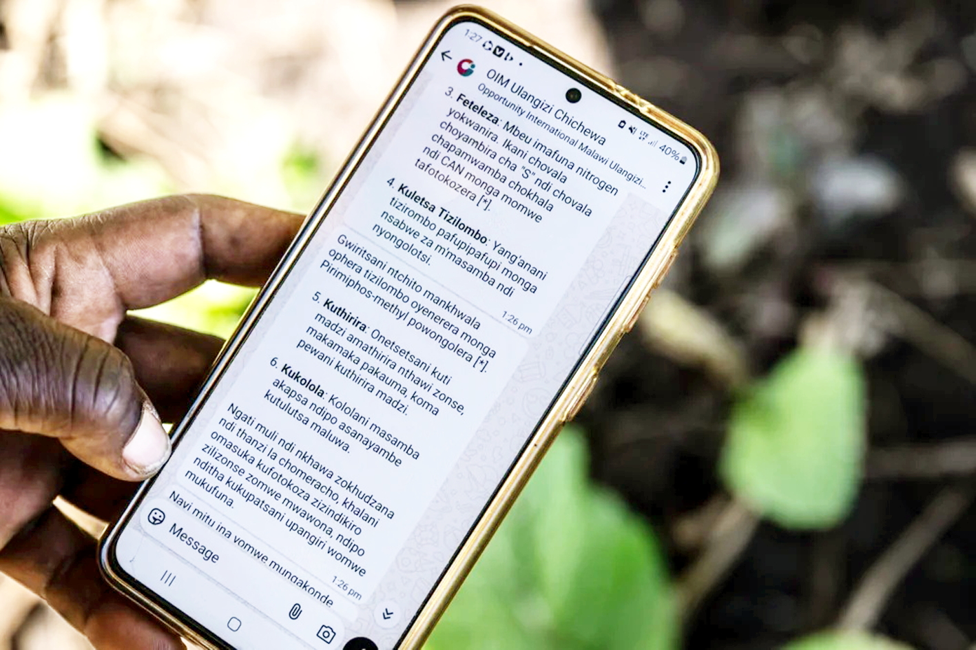 Một nông dân Malawi hỏi chatbot Ulangizi AI về cách trồng cải xanh tốt nhất - ẢNH: THOKO CHIKONDI (Rest of World)