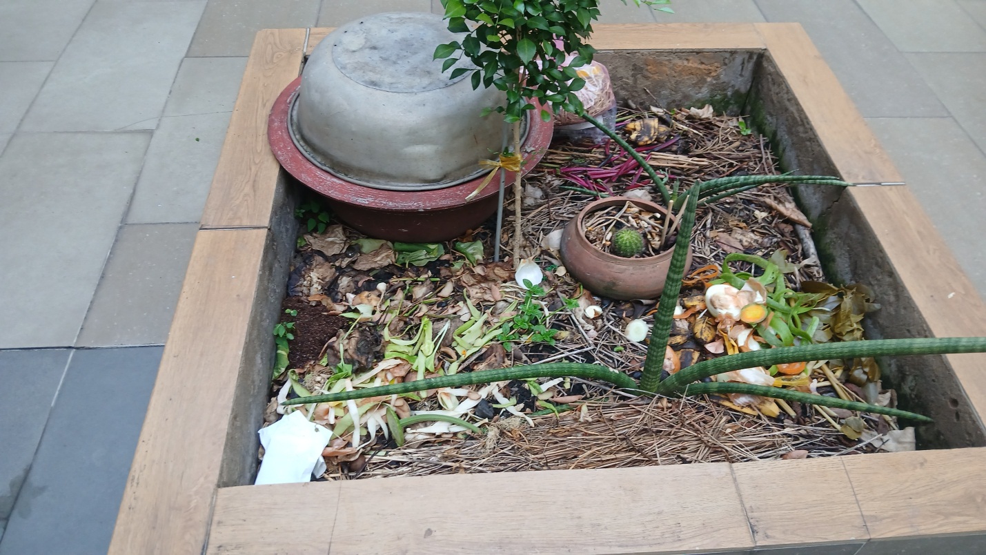 Nơi tập kết rác thải hữu cơ trong sân