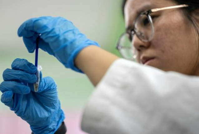 Các nah2 khoa học đang phân tích một mẫu máu được lấy từ con rệp giường. Ản: F.24