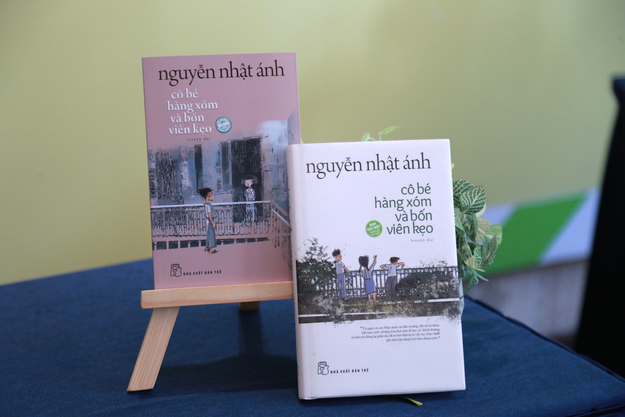 Tác phẩm sẽ chính thức được phát hành vào ngày 28/11 - Ảnh: NXB Trẻ