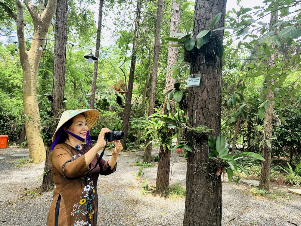 Nghệ nhân sinh vật cảnh Lê Thị Nga kiểm tra cây trồng tại Suối Rao Ecolodge