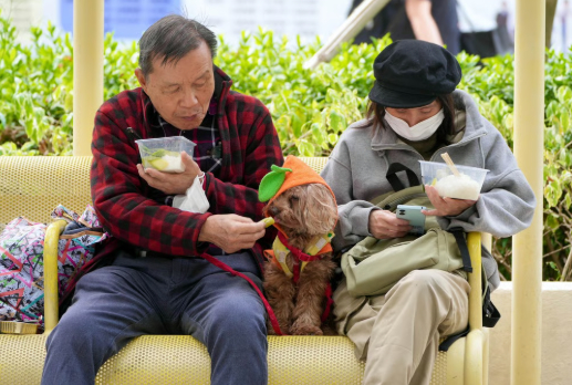 Gia đình may mắn Một người về hưu họ Tsang đang dắt chó đi dạo gần nhà Wang Shing vào khoảng 3 giờ chiều hôm qua thì nhận thấy một đám cháy bùng phát ở một tòa nhà khác.  Tôi thấy rất nhiều khói và lửa. Khi tôi cố gắng quay trở lại tầng trên, lính cứu hỏa đã chặn đường và yêu cầu mọi người rời đi, Tsang, người đã ngoài 70 tuổi, nói.  Anh ấy nói rằng anh ấy cảm thấy may mắn vì vợ và con gái anh ấy không có ở nhà vào thời điểm đó - và anh ấy đã mang theo của mình.  Ít nhất cả gia đình chúng tôi đều an toàn, anh nói và nói thêm rằng họ dự định ở lại nhà của một người bạn trong khi tìm kiếm chỗ ở dài hạn.