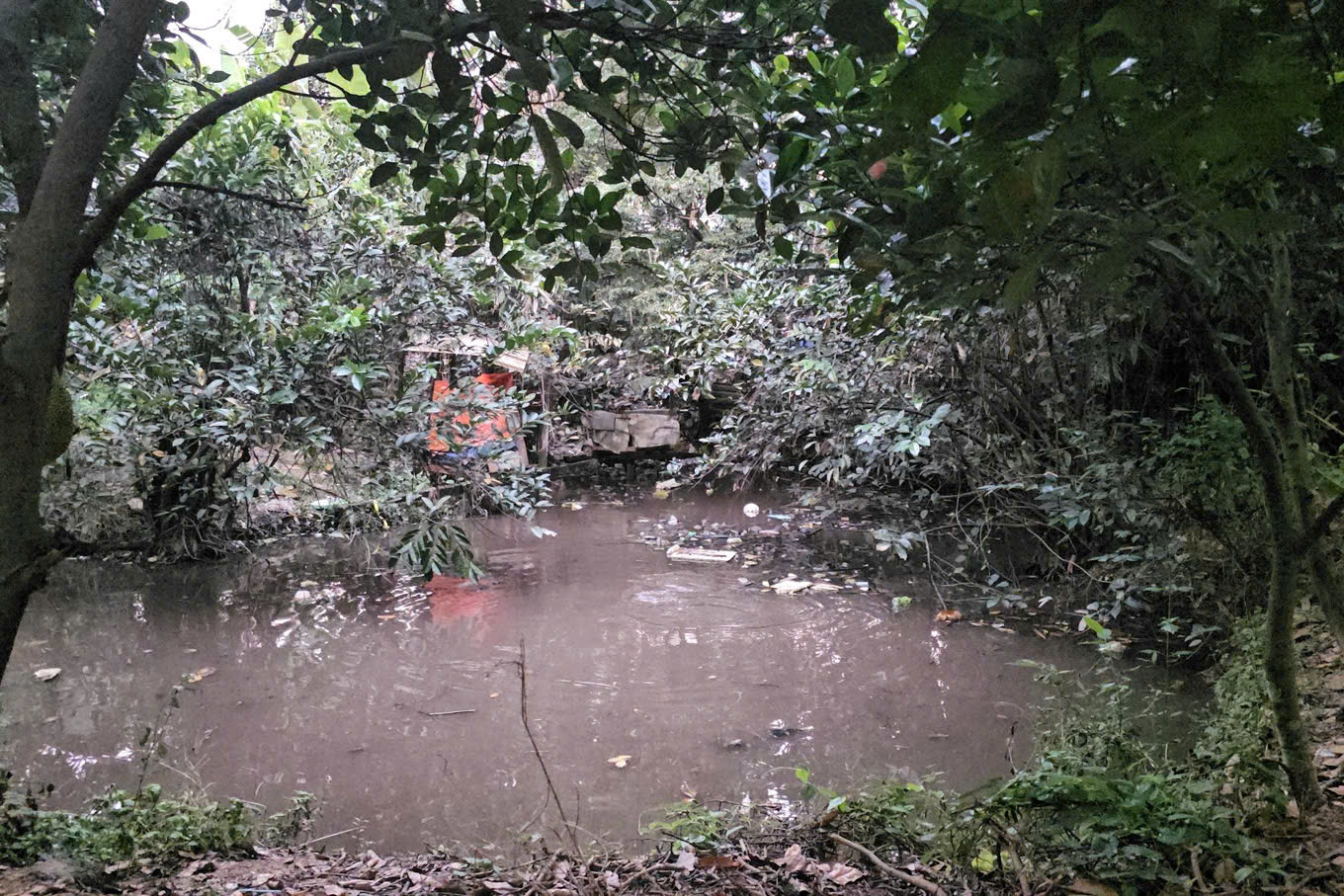 Hồ nước sâu sau nhà nơi bé Q tử vong. Ảnh: A.X.