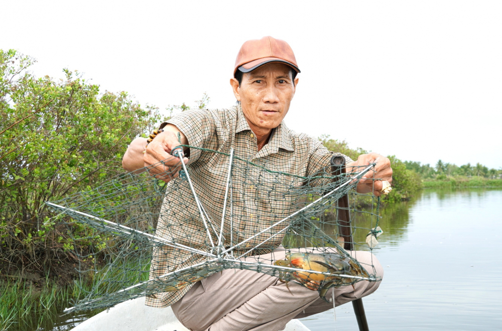 Khai thác tiềm năng từ con cua biển Ông Huỳnh Thanh Sự - Chủ nhiệm Câu lạc bộ “Nông dân tỉ phú” phường Tân Thành, tỉnh Cà Mau - thu hoạch cua biển