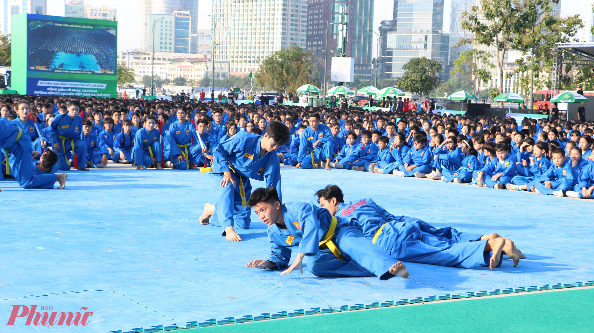 Mở màn phần đồng diễn là phần biểu diễn võ thuật của các vận động viên chuyên nghiệp