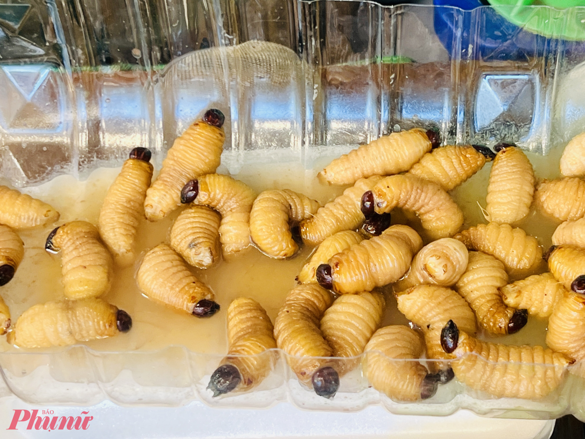 Đuông dừa loại côn trùng bị cấm nuôi do là loài gây nguy hại cho cây dừa cũng được bày bán với món đuông dưa nước mắm.