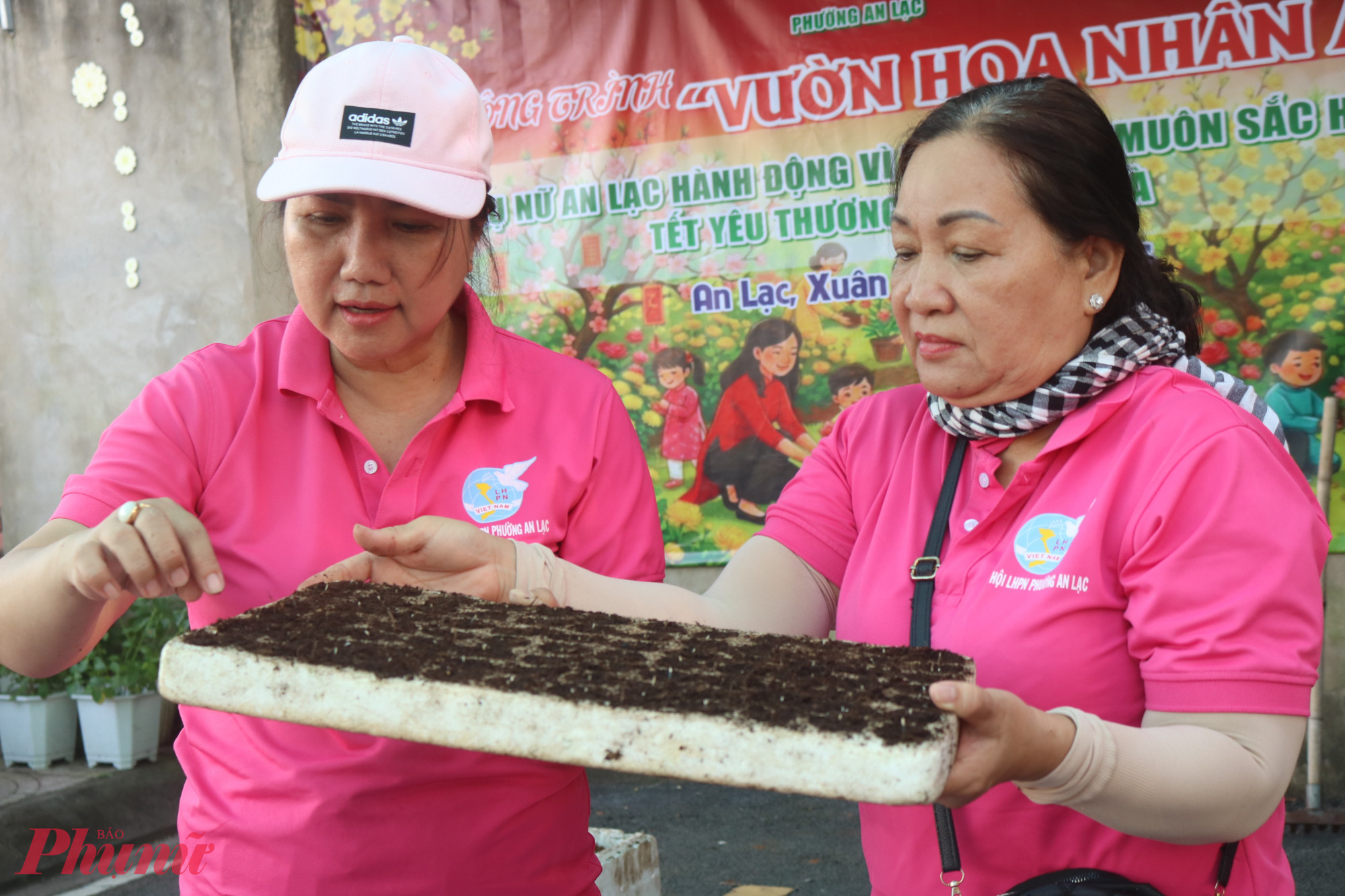 Hạt giống hoa vạn thọ được gieo vào các khay nhỏ nhằm ươm cây con trước khi vô chậu - Ảnh: Mẫn Nhi