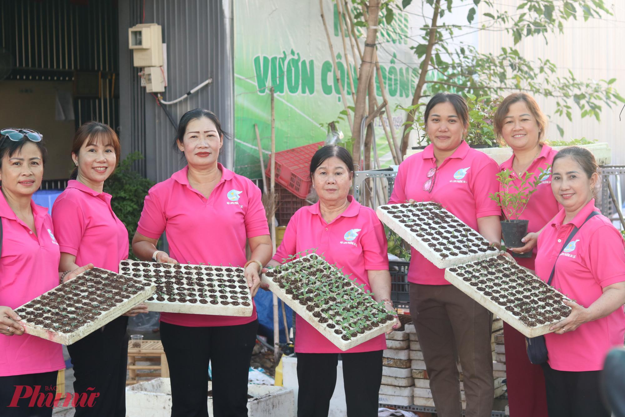 Trước khi chính thức bắt tay gây dựng vườn, chị em đã ươm tạo thử nghiệm vài khay cây con. Cây đã lên đều và đẹp - Ảnh: Mẫn Nhi