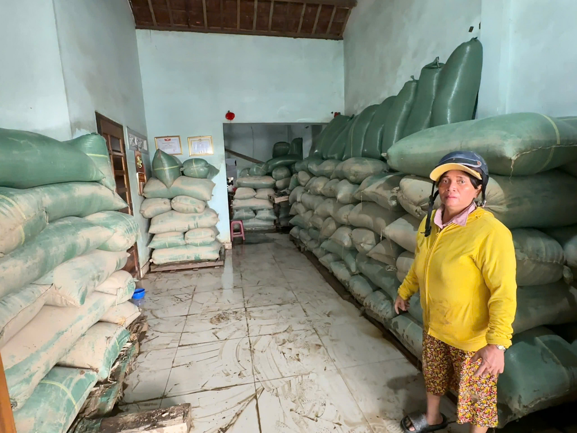 Hơn 30 tấn lúa của gia đình bà Son bị lũ làm ướt hỏng. Chỉ một số bao được kê trên cao thoát ướt