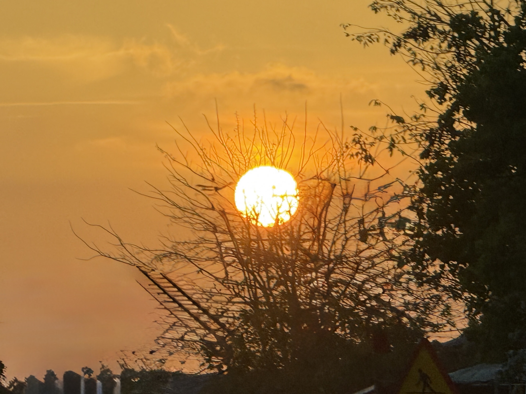 Xuyên suốt sách ảnh là mặt trời chiếu rọi, là hành trình nhận diện và tỉnh thức của nữ tác giả