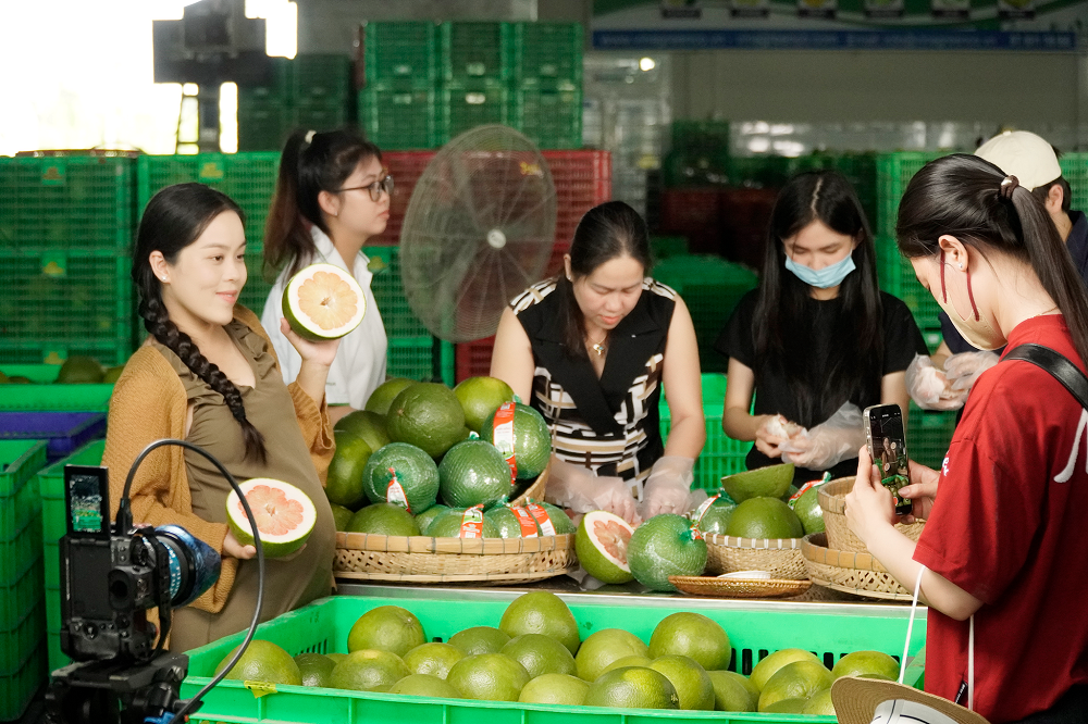 Sendo Farm đồng hành cùng tỉnh Vĩnh Long tổ chức Tuần lễ vươn mình nông sản Vĩnh Long - Ảnh Sendo Farm