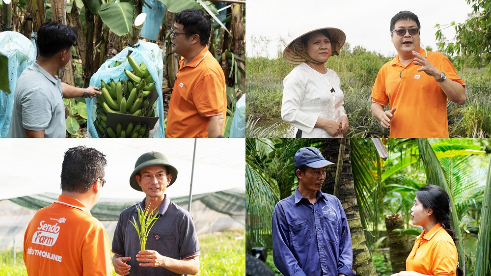 Sendo Farm đồng hành kể câu chuyện về nông sản Việt qua chương trình “Nơi vị ngon bắt đầu” - Ảnh Sendo Farm