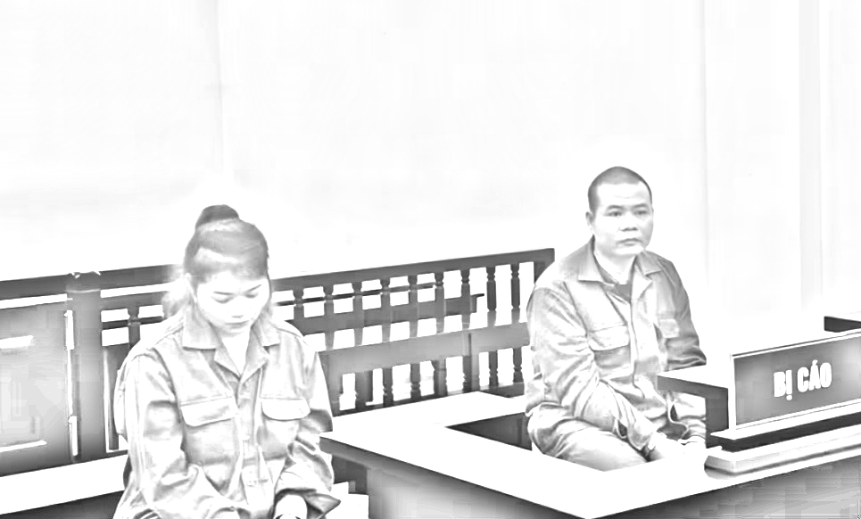 Các bị cáo tại tòa - Ảnh: N.A