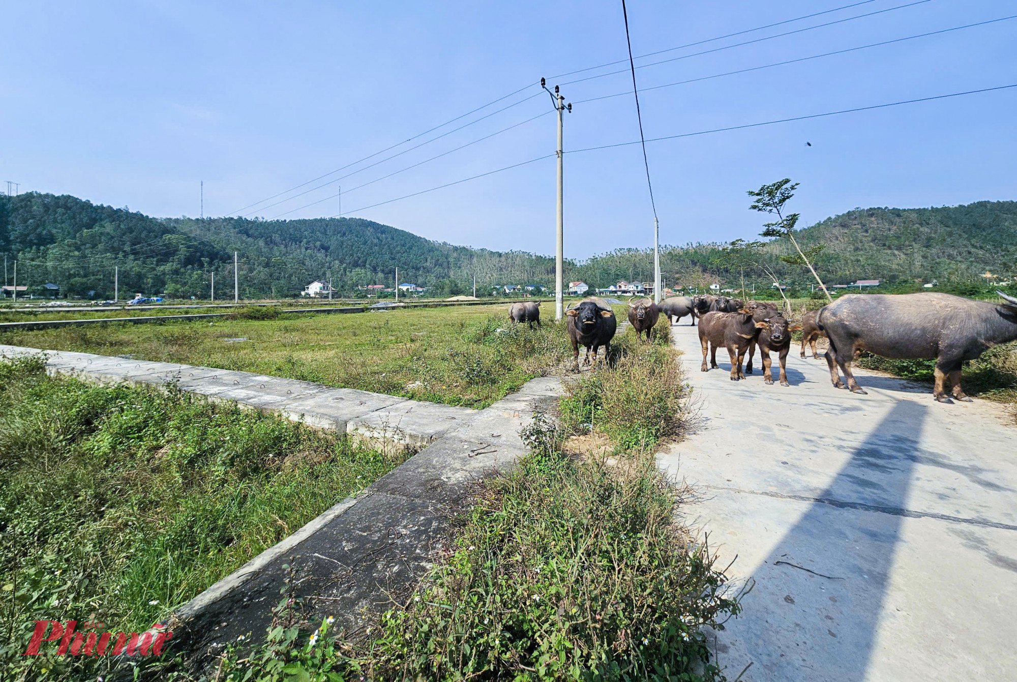 Ông Nguyễn Đình Thi - Chủ tịch UBND xã Hải Lộc - cho biết, điểm nghẽn lớn nhất hiện nay là kinh phí bồi thường và giải phóng mặt bằng, với tổng dự kiến hơn 40 tỉ đồng, vượt xa khả năng ngân sách cấp xã. “Khu tái định cư đã hoàn thiện, nhưng hiện kinh phí để đền bù, giải phóng mặt bằng để người dân đến khu tái định cư chưa có nên chưa thực hiện được” - ông Thi nói.