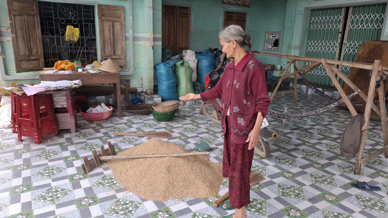 Lúa ướt từ hàng ba ra đến ngoài sân xã Xuân Phước không phơi nắng được- Ảnh: Mạnh Trâm Trân