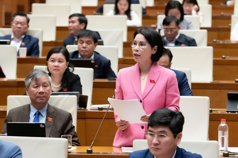 Đại biểu Trần Thị Nhị Hà (TP Hà Nội) - ảnh: QH