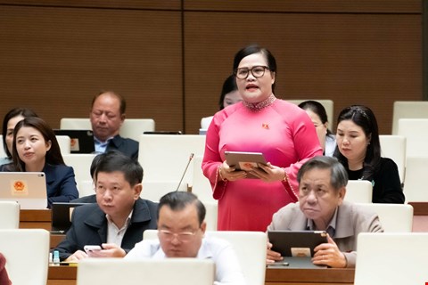 Đại biểu Nguyễn Thị Sửu - ảnh: QH