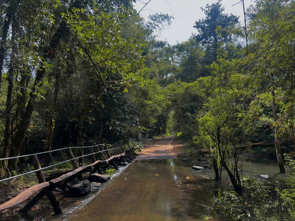 Có hai tuyến đường mà bạn có thể đạp xe để khám phá, nhưng nếu là lần đầu trải nghiệm việc đạp xe trên cung đường đất, đá thì tuyến đường khoảng 12km cả đi lẫn về qua các khu vườn thực vật, 