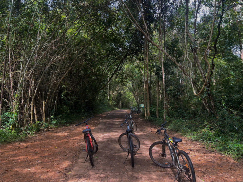 Khoảng thời gian từ tháng 12 đến tháng 5 là thời điểm thích hợp để bạn tham quan vườn Quốc Gia Nam Cát Tiênng thời gian từ tháng 12 đến tháng 5 là thời điểm thích hợp để bạn tham quan vườn Quốc Gia Nam Cát Tiên. Bởi lúc này thời tiết rất mát mẻ, trời không quá nắng khiến việc di chuyển dễ dàng hơn. Bạn có thể lựa chọn việc di chuyển bằng xe máy từ TP.HCM đến xã Nam Cát Tiên, tỉnh Đồng Nai sau đó mua vé vào tham quan.