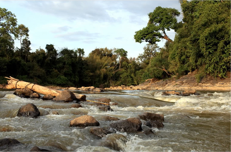 Âm thanh thác đổ vọng ra từ xa khiến bạn như được “mọi mệt mỏi được kéo đi” trước khi kịp nhìn thấy dòng nước trắng xóa. Khi gần đến nơi, cảnh tượng thác nước đổ từ trên cao xuống những phiến đá lớn thực sự mang lại cảm giác hùng vĩ. Đây là địa điểm hoàn hảo để du khách nghỉ ngơi, chụp ảnh và tận hưởng cảm giác chạm vào làn nước mát lạnh sau chặng đường thám hiểm. Nhiều người xem Thác Trời là “phần thưởng” xứng đáng nhất cho chuyến đạp xe trong rừng.
