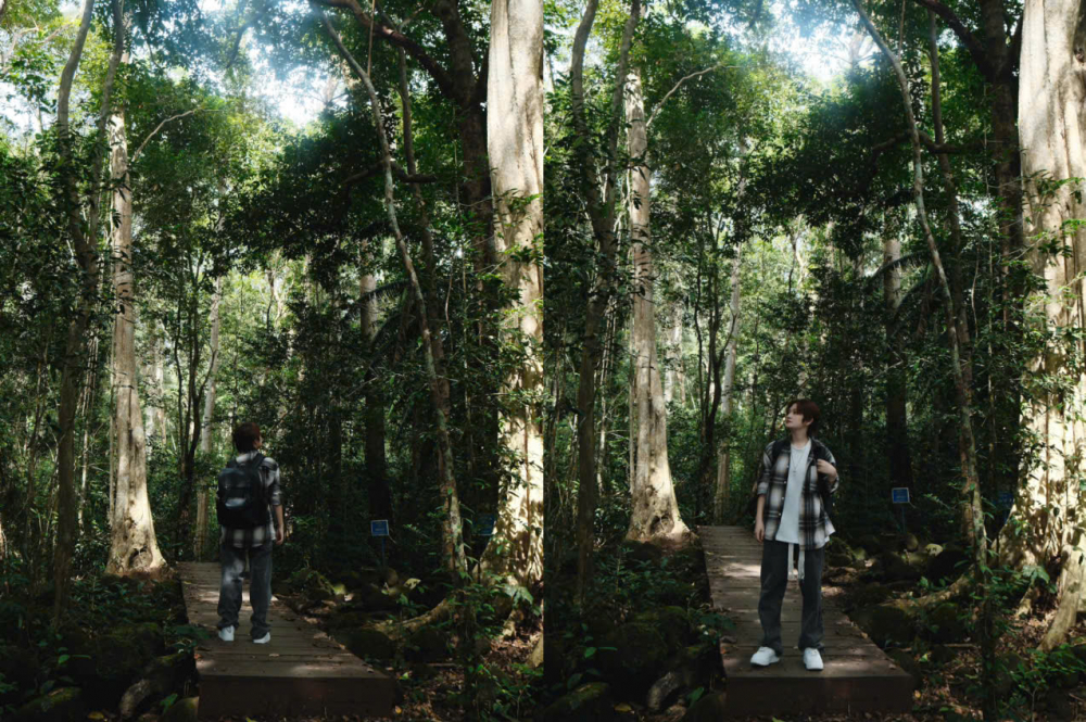 Bắt đầu từ điểm thuê xe, đạp khoảng 1km thì ta sẽ đến địa điểm đáng chú ý đầu tiên, khu vực có nhiều loài cây lạ như thiên tuế, mắt cáo...