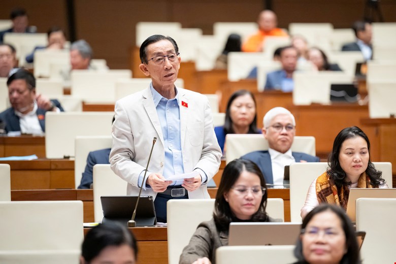 Đại biểu Trần Hoàng Ngân - ảnh: QH