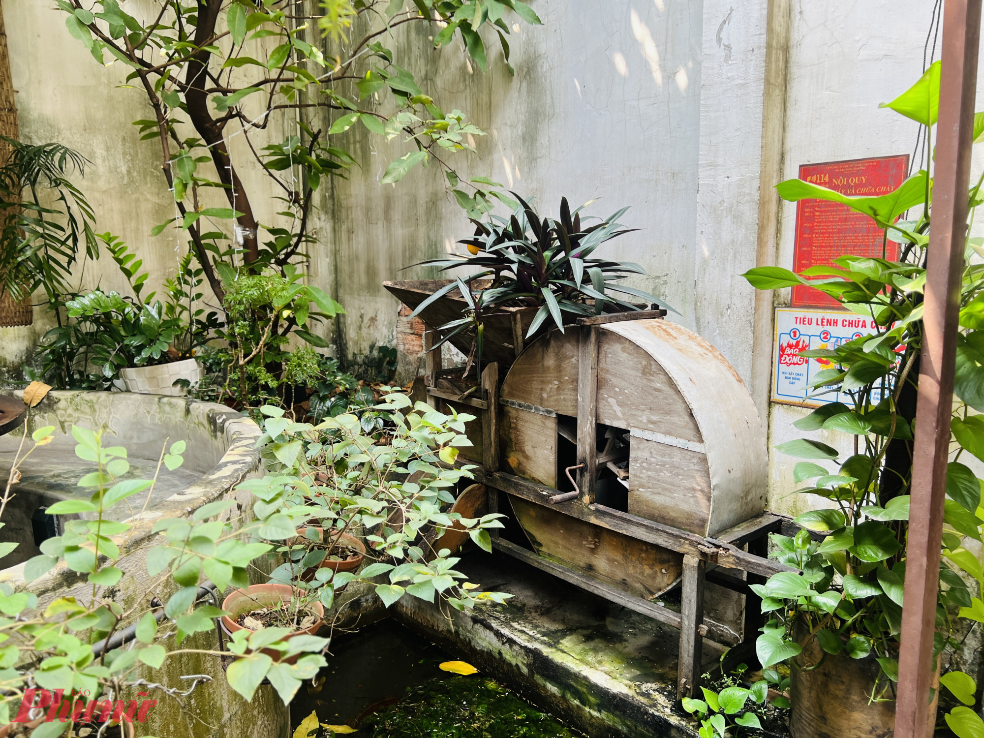 Ở trung tâm nhà hàng là một khu vườn nhỏ và hồ cá xinh xắn, trở thành điểm nhấn níu chân mọi ánh nhìn. Âm thanh róc rách của nước, màu xanh len lỏi giữa gỗ và đá khiến thực khách thích thú.