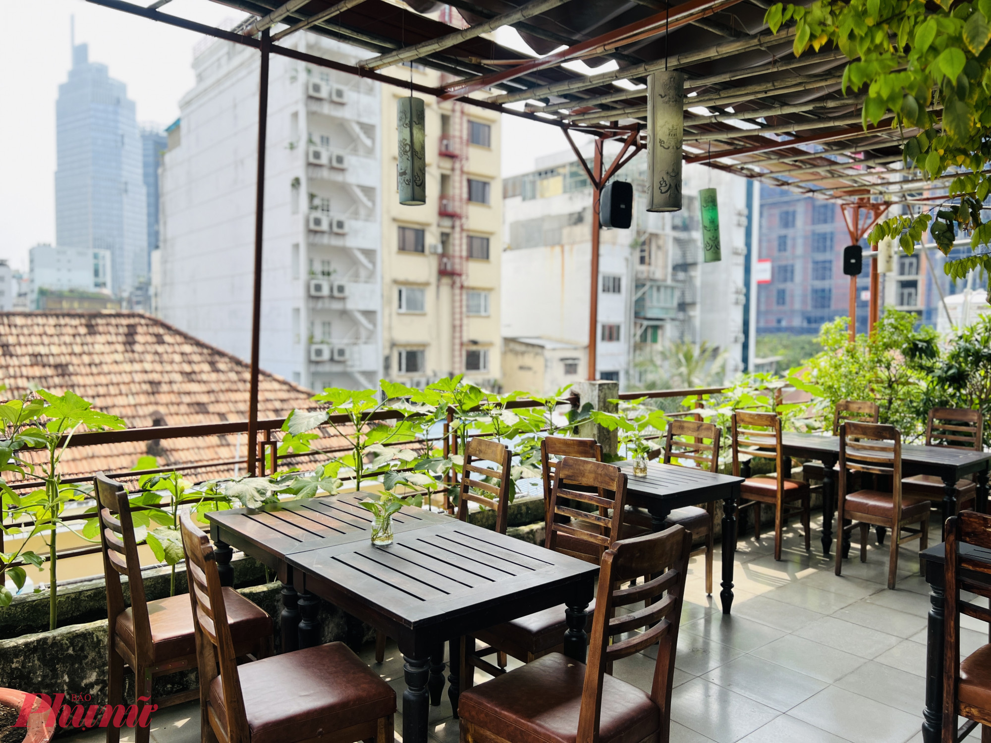 Một trong những không gian được yêu thích nhất là tầng thượng. Shamballa tận dụng ánh sáng tự nhiên, phủ kín cây xanh và trồng một khu vườn rau theo mùa. Hiện tại, vạt đậu bắp đang vào mùa sai trái, trổ đầy những búp xanh non cực kỳ hút mắt – chi tiết nhỏ nhưng khiến thực khách thích thú vì sự tươi mới và gần gũi thiên nhiên.