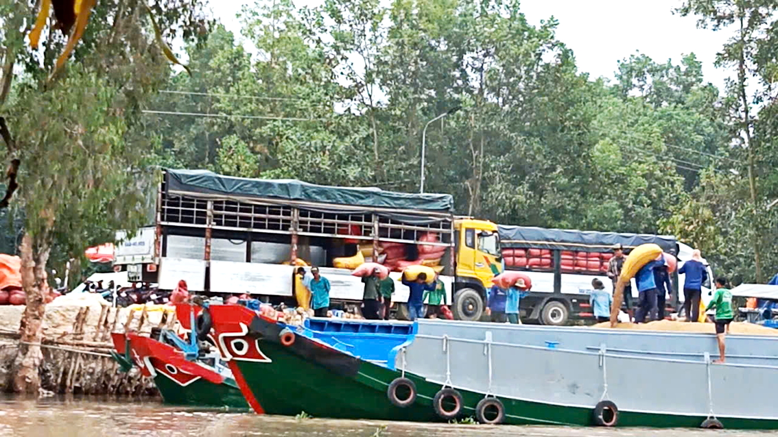 Hợp tác xã Thủy Mộc lên xuống lúa ở bến bãi trái phép